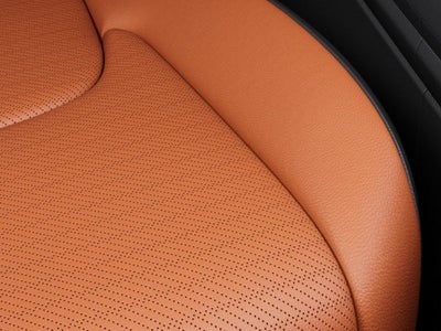 2027 Kia CARNIVAL HYBRID UMBER/BLACK
